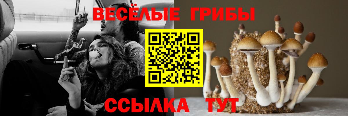 Михайловка  Галлюциногенные грибы Magic Shrooms  Вход с VPN 
